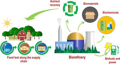 Waste to Wealth: The power of food-waste anaerobic digestion integrated with lactic acid fermentation
